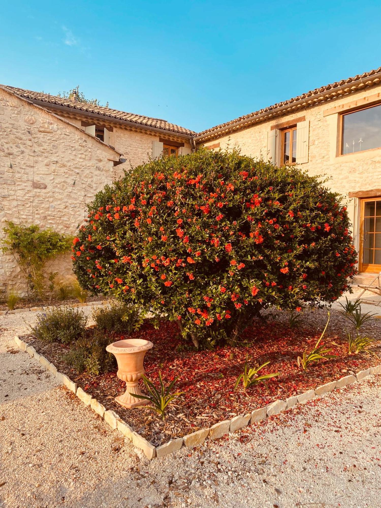 La Bastide Des Oliviers Provence - Mirabel Aux Baronnies别墅 外观 照片