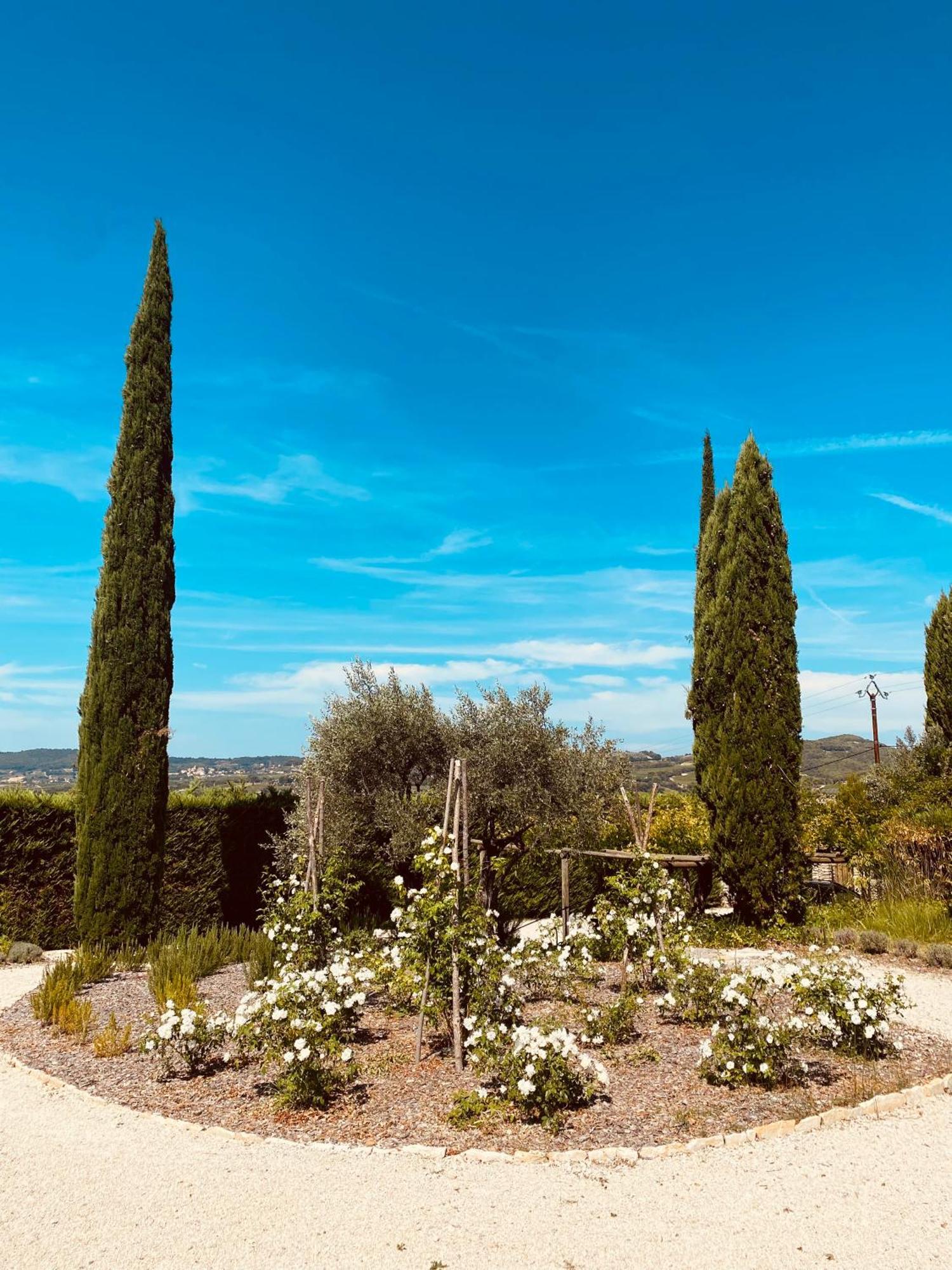 La Bastide Des Oliviers Provence - Mirabel Aux Baronnies别墅 外观 照片